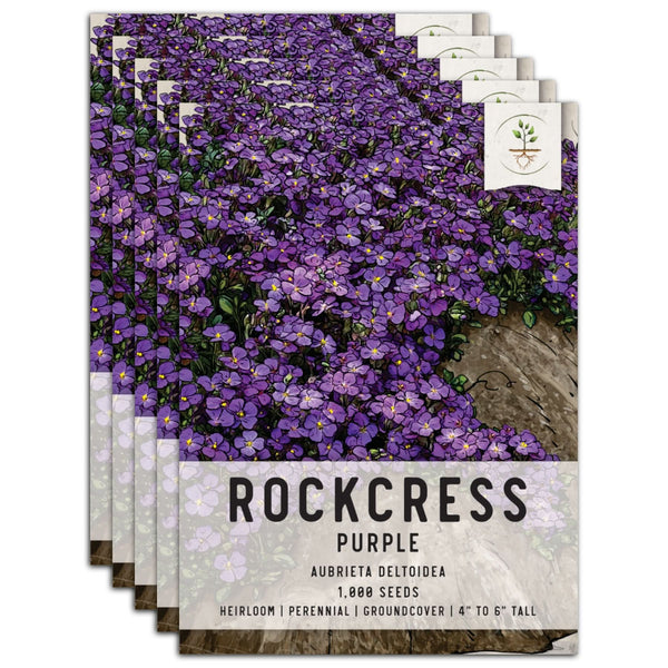 Purple Rockcress Groundcover Seeds For Planting (Aubrieta deltoidea)