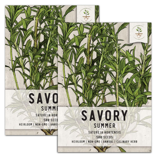 Summer Savory Herb Seeds For Planting (Satureja hortensis)