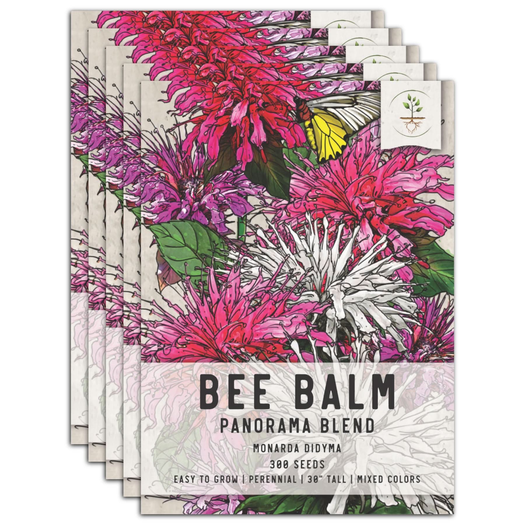 Panorama Blend Bee Balm Seeds For Planting (Monarda didyma)