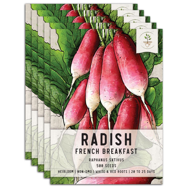 French Breakfast Radish Seeds For Planting (Raphanus sativus)