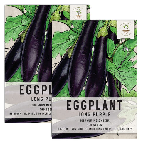 Long Purple Eggplant Seeds For Planting (Solanum melongena)