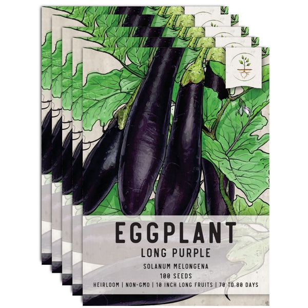 Long Purple Eggplant Seeds For Planting (Solanum melongena)