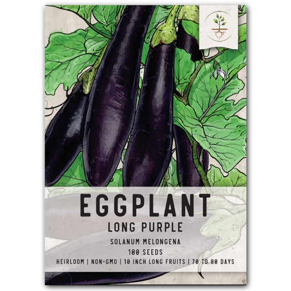 Long Purple Eggplant Seeds For Planting (Solanum melongena)