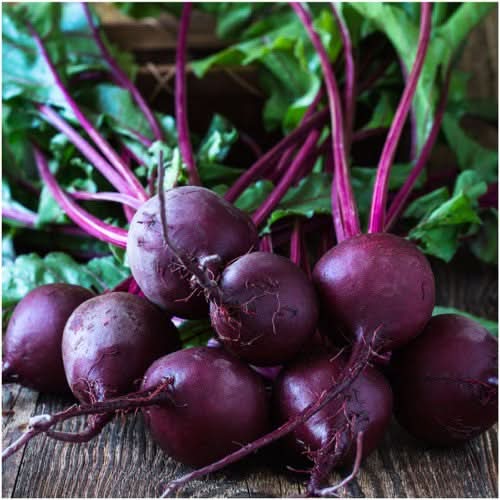Early Wonder Tall Top Beet Seeds For Planting (Beta vulgaris)