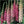 excelsior blend foxglove seeds for planting