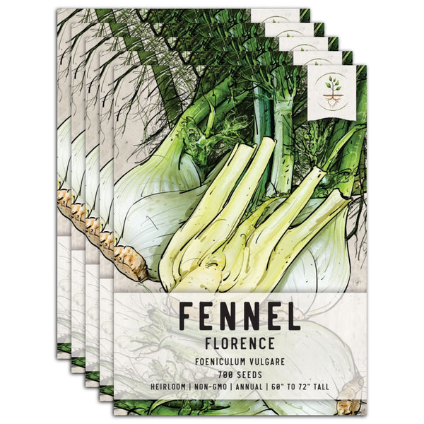 Florence Fennel Herb Seeds For Planting (Foeniculum vulgare)