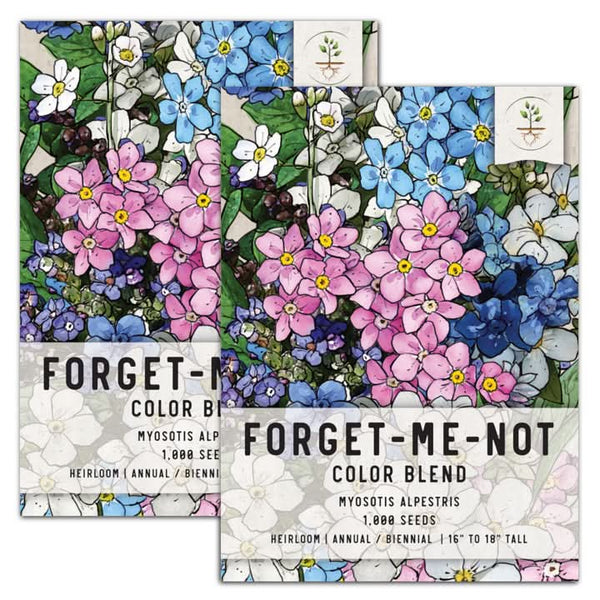 mixed forget me not seeds for planting