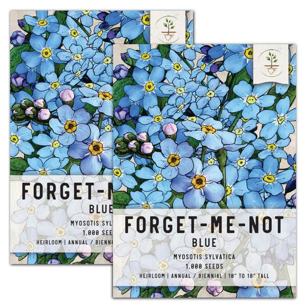 Blue Forget-Me-Not Seeds For Planting (Myosotis sylvatica)