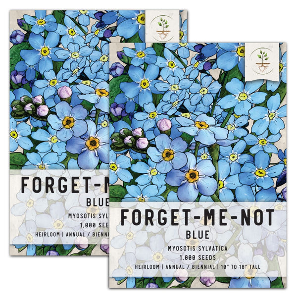 forget-me-not seeds planting Blue Forget-Me-Not Seeds For Planting (Myosotis sylvatica) Seed Needs – Seed Needs LLC