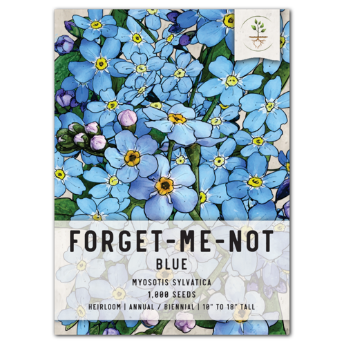 forget me not seed to flower time Forget-Me-Not Seed Packet Collection (Rose, White & Blue)