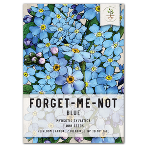 blue forget me not seeds for planting