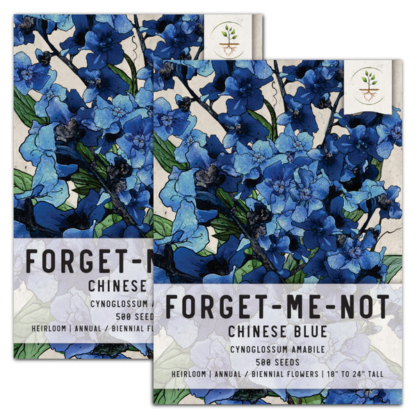 Chinese Forget-Me-Not Seeds For Planting (Cynoglossum amabile)