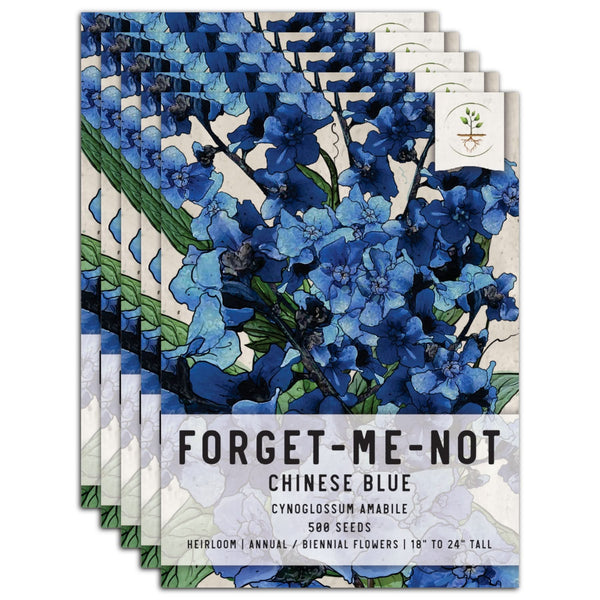 Chinese Forget-Me-Not Seeds For Planting (Cynoglossum amabile)