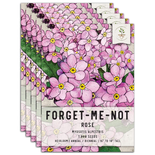 Rose Forget-Me-Not Seeds For Planting (Myosotis alpestris)