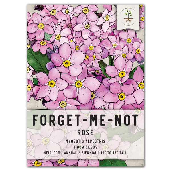Rose Forget-Me-Not Seeds For Planting (Myosotis alpestris)