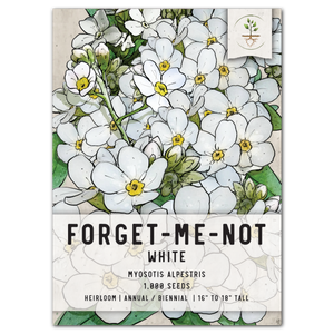 white forget me not seeds for planting