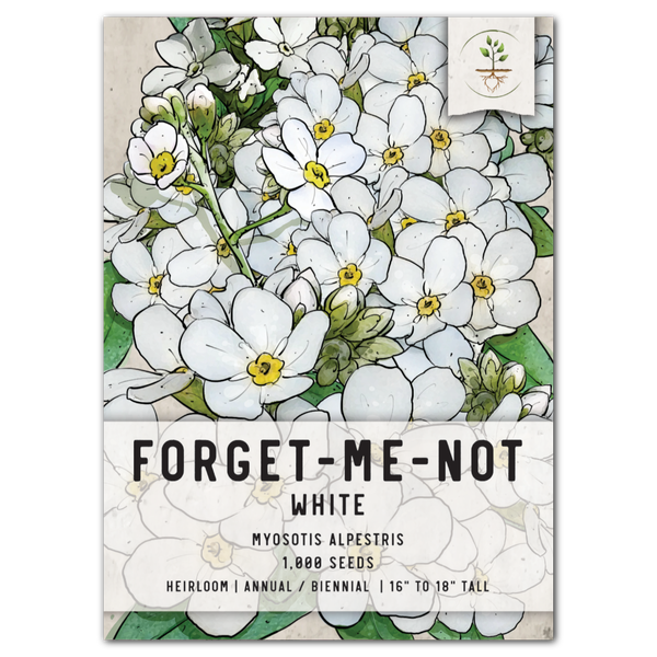white forget me not seeds for planting