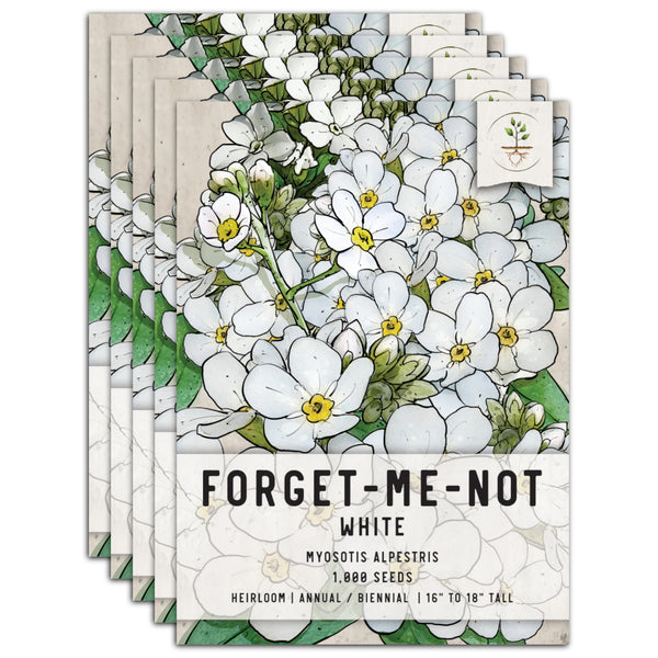 White Forget-Me-Not Seeds For Planting (Myosotis alpestris)