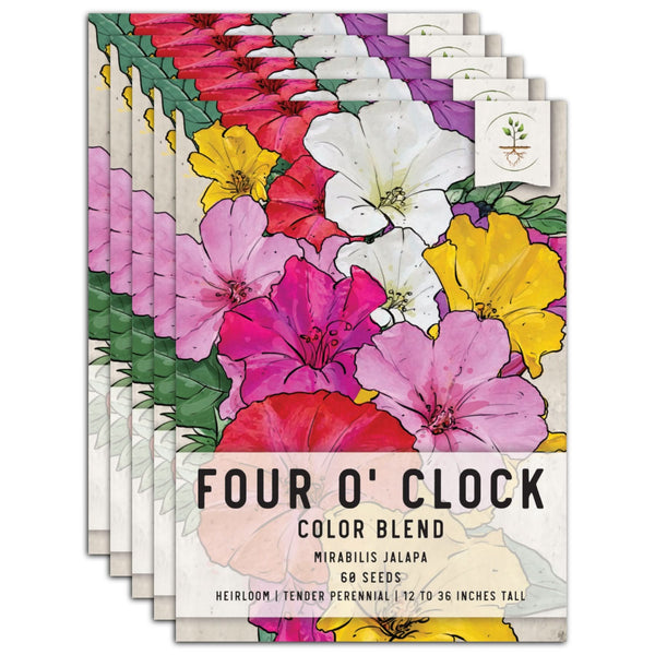 Mixed Four O' Clock Seeds For Planting (Mirabilis jalapa)