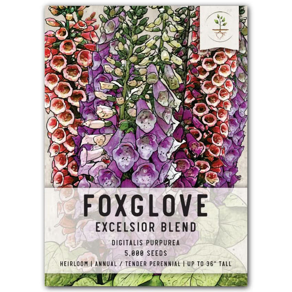 Excelsior Mixture Foxglove Seeds For Planting (Digitalis purpurea)