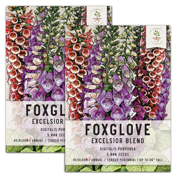 Excelsior Mixture Foxglove Seeds For Planting (Digitalis purpurea)