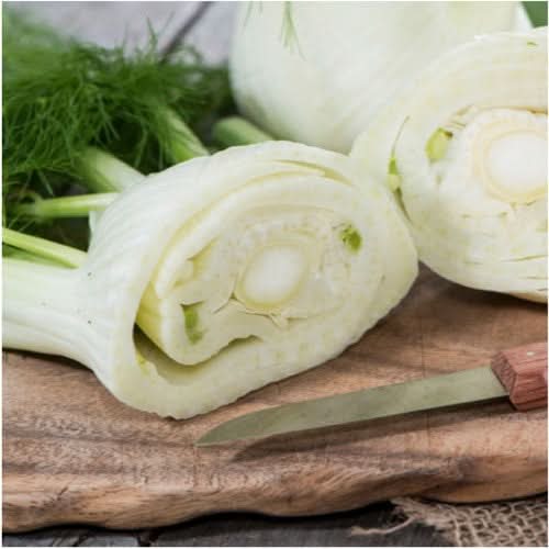 Florence Fennel Herb Seeds For Planting (Foeniculum vulgare)