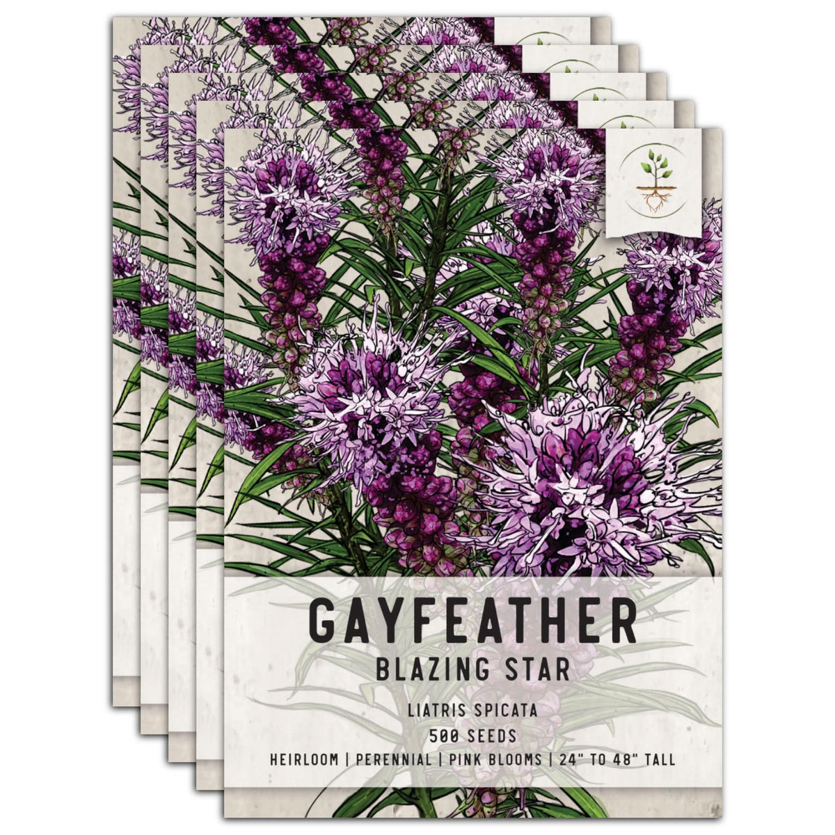 Gayfeather Wildflower Seeds For Planting (Liatris spicata) Seed Needs LLC