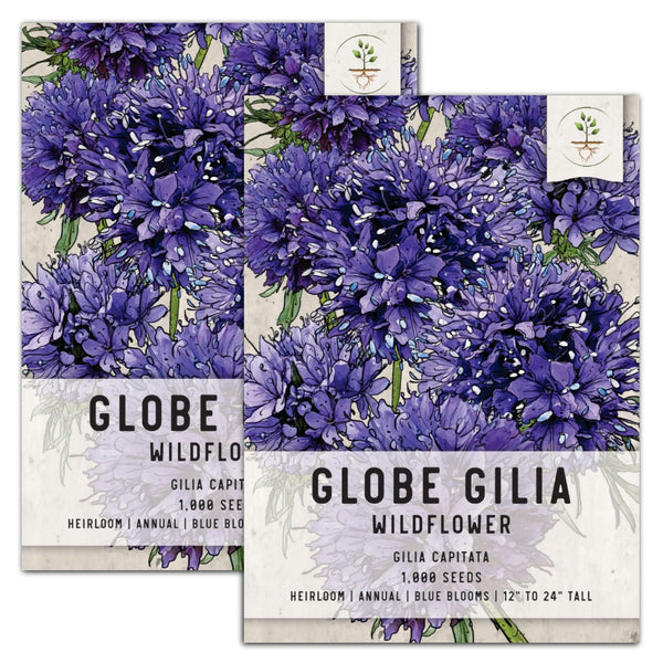 Globe Gilia Flower Seeds For Planting (Gilia capitata)