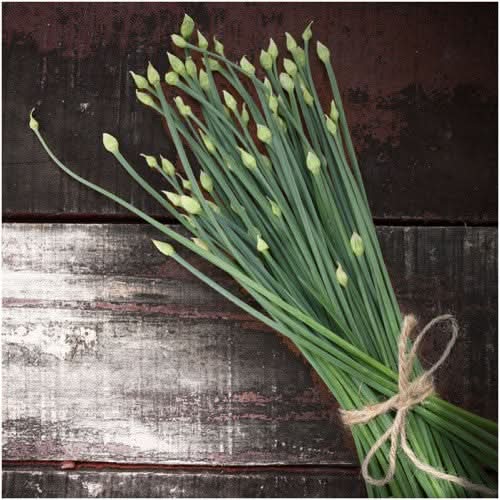 Garlic Chives Herb Seeds For Planting (Allium tuberosum)