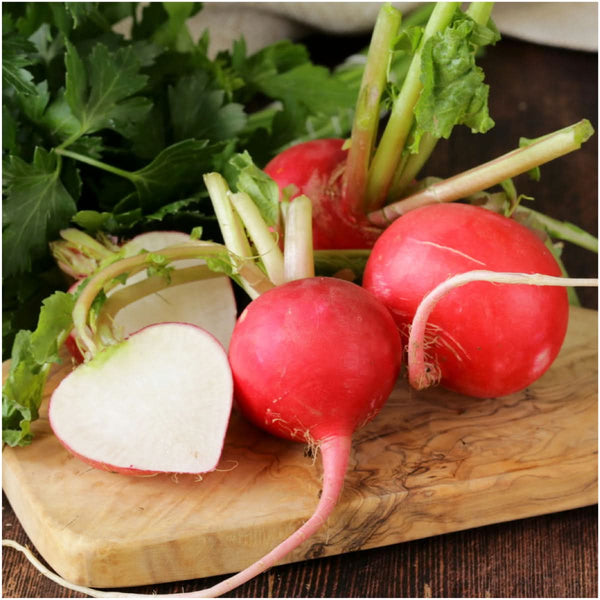 Radish Seed Collection