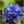 Globe Gilia Flower Seeds For Planting 