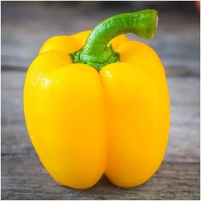 Golden Cal Wonder Sweet Pepper Seeds For Planting (Capsicum Annuum)