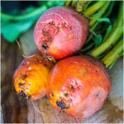 Golden Detroit Beet Seeds For Planting (Beta vulgaris)