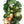 Bottle Gourd / Birdhouse Gourd Seeds For Planting (Lagenaria siceraria)