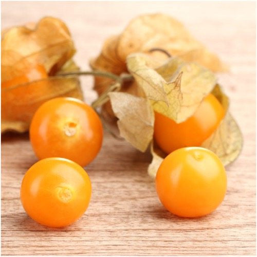 Ground Cherry Tomatillo Seeds For Planting (Physalis pruinosa)