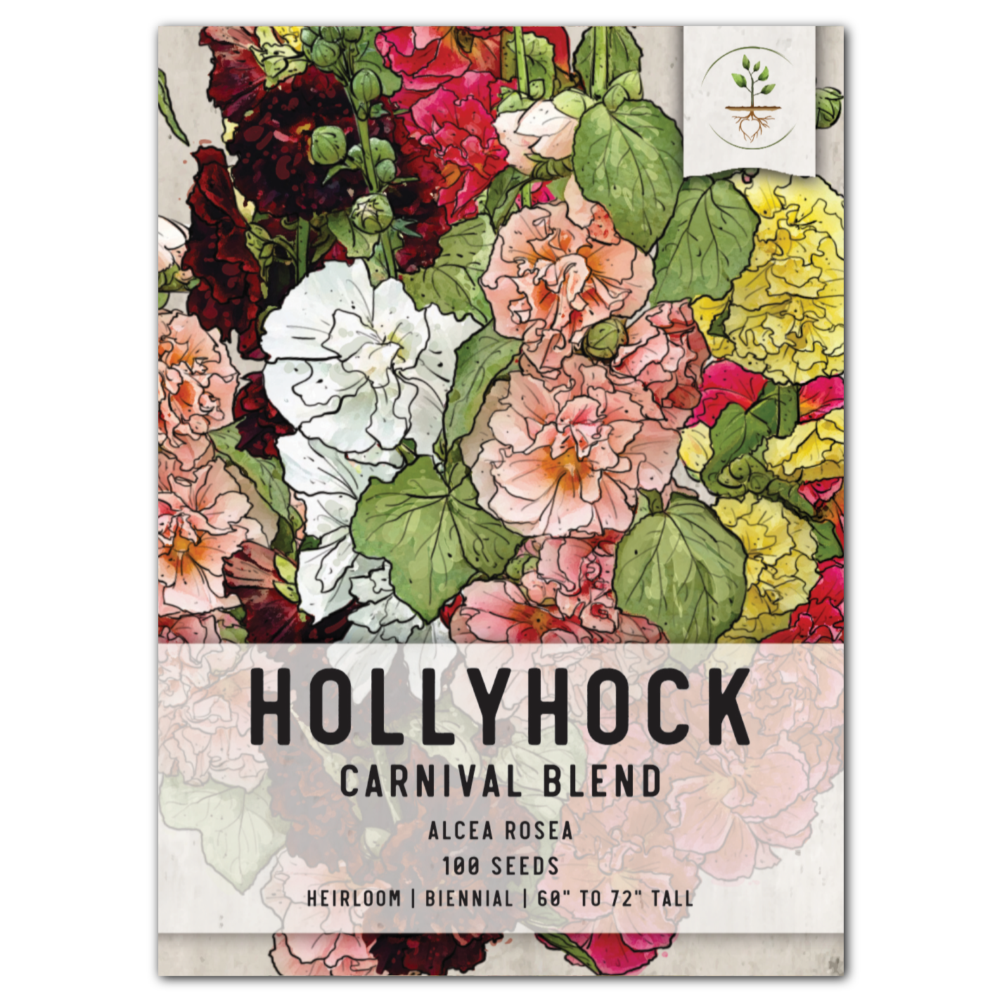 Carnival Hollyhock Mixture (Alcea rosea)