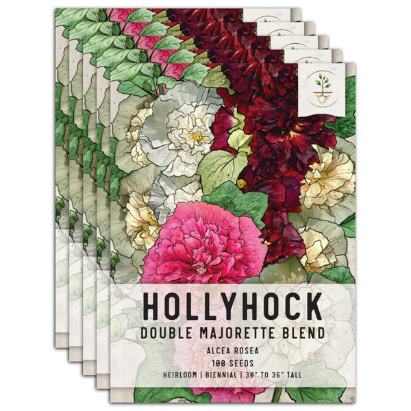 Double Majorette Hollyhock Mixture (Alcea rosea)
