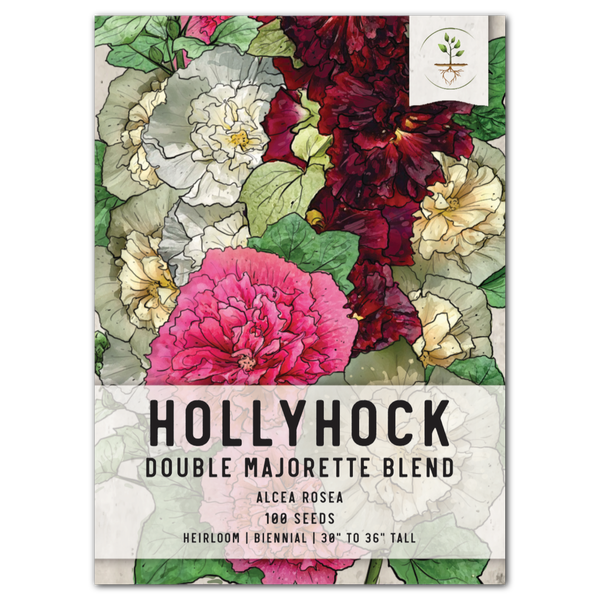 Double Majorette Hollyhock Mixture (Alcea rosea)
