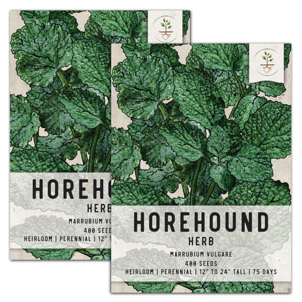 Horehound Herb Seeds For Planting (Marrubium vulgare)