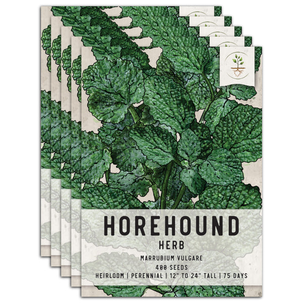Horehound Herb Seeds For Planting (Marrubium vulgare)