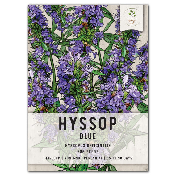 Hyssop Herb Seeds For Planting (Hyssopus officinalis)