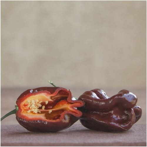 chocolate habanero