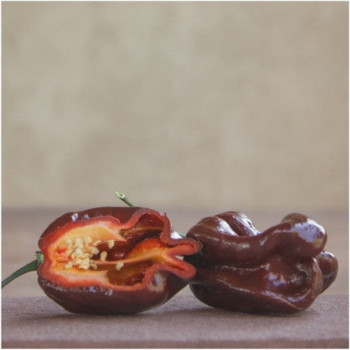 Chocolate Habanero Pepper Seeds For Planting (Capsicum Chinense)