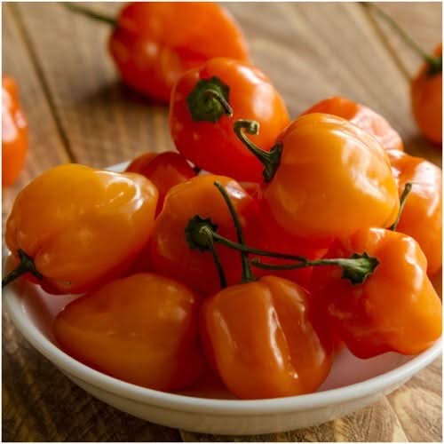 Orange Habanero Pepper Seeds For Planting (Capsicum chinense)