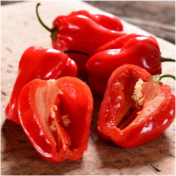 Red Habanero Pepper Seeds For Planting (Capsicum chinense)