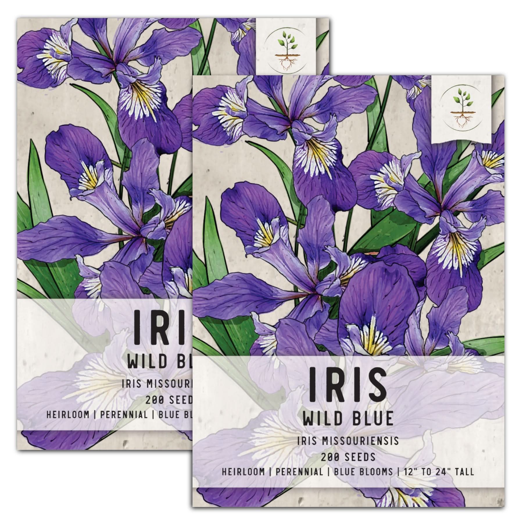Wild Blue Iris Flower Seeds For Planting (Iris missouriensis)