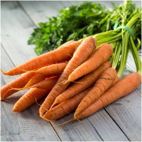 Imperator 58 Carrot Seeds For Planting (Daucus carota)
