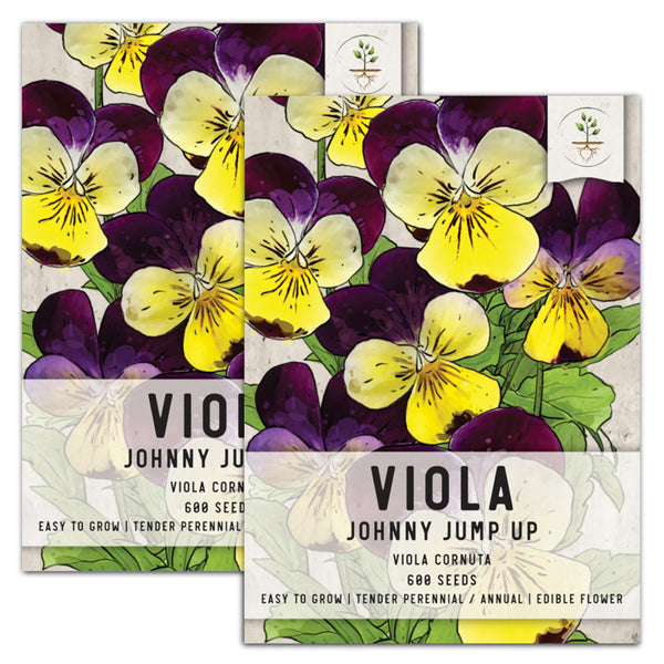 Johnny Jump Up Seeds For Planting, Helen Mount (Viola cornuta)
