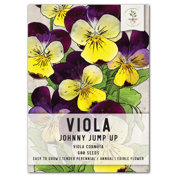 Johnny Jump Up Seeds For Planting, Helen Mount (Viola cornuta)