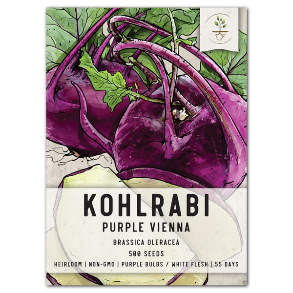 purple vienna kohlrabi seeds for planting